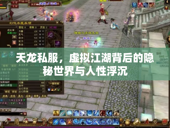 天龙私服，虚拟江湖背后的隐秘世界与人性浮沉