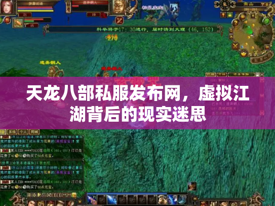 天龙八部私服发布网，虚拟江湖背后的现实迷思