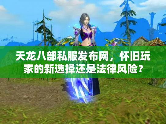 天龙八部私服发布网，怀旧玩家的新选择还是法律风险？