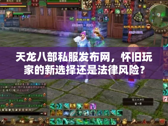 天龙八部私服发布网，怀旧玩家的新选择还是法律风险？