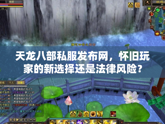 天龙八部私服发布网，怀旧玩家的新选择还是法律风险？