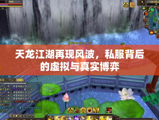 天龙江湖再现风波，私服背后的虚拟与真实博弈