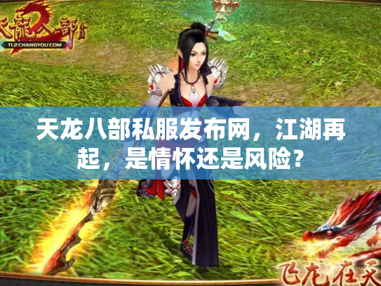天龙八部私服发布网，江湖再起，是情怀还是风险？