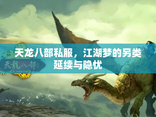 天龙八部私服，江湖梦的另类延续与隐忧