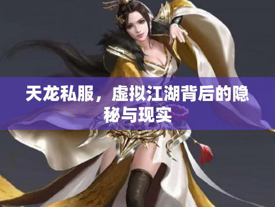 天龙私服，虚拟江湖背后的隐秘与现实
