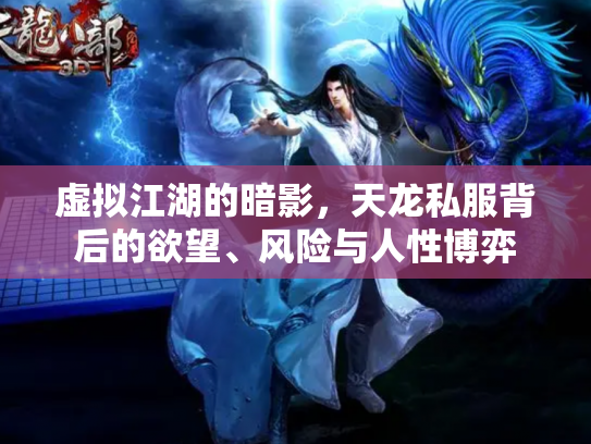 虚拟江湖的暗影，天龙私服背后的欲望、风险与人性博弈