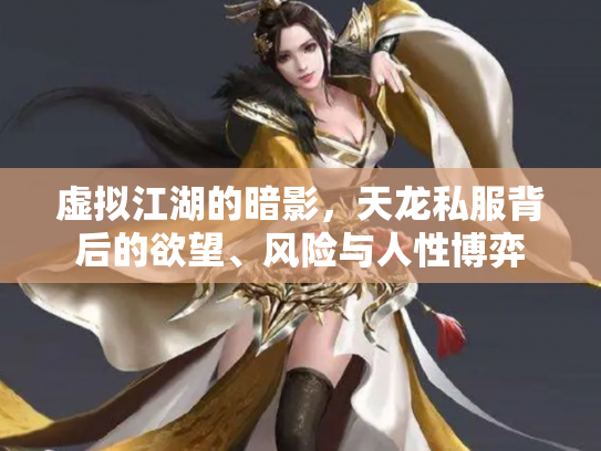 虚拟江湖的暗影，天龙私服背后的欲望、风险与人性博弈