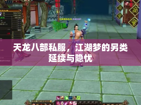 天龙八部私服，江湖梦的另类延续与隐忧