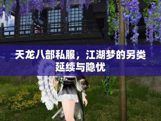 天龙八部私服，江湖梦的另类延续与隐忧
