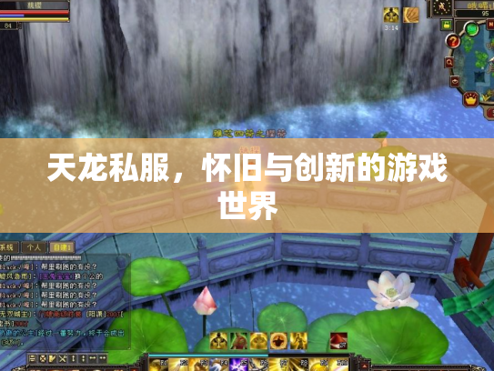 天龙私服，怀旧与创新的游戏世界