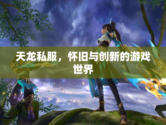 天龙私服，怀旧与创新的游戏世界