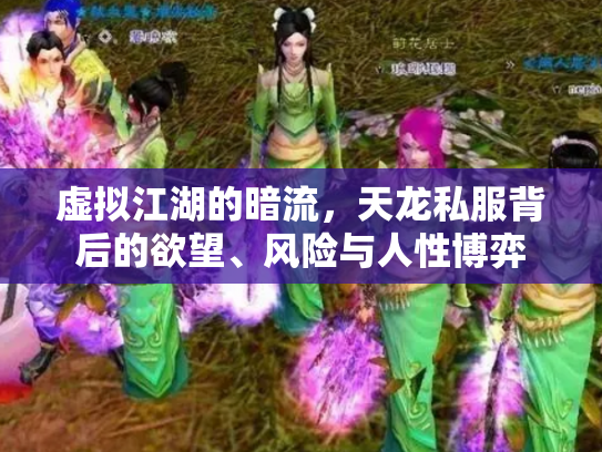 虚拟江湖的暗流，天龙私服背后的欲望、风险与人性博弈