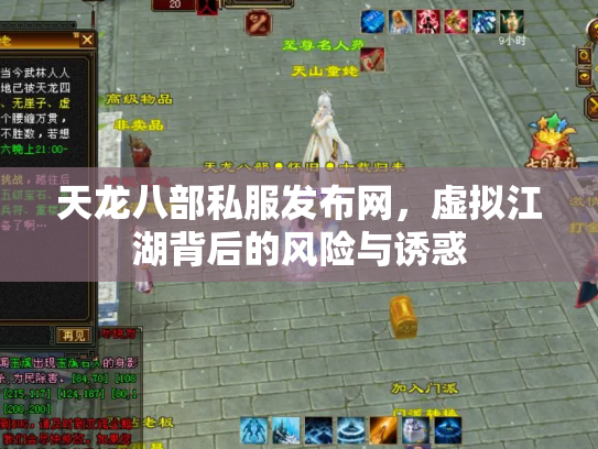 天龙八部私服发布网，虚拟江湖背后的风险与诱惑
