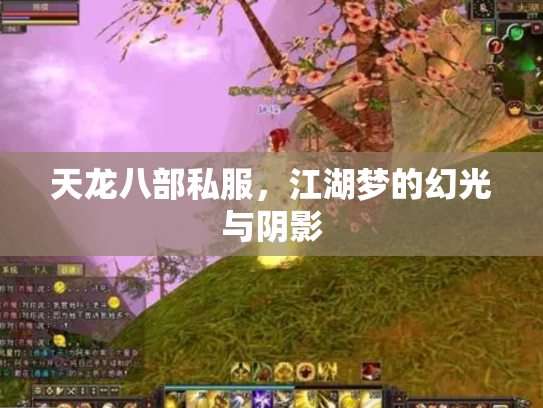 天龙八部私服，江湖梦的幻光与阴影