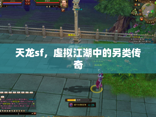 天龙sf，虚拟江湖中的另类传奇