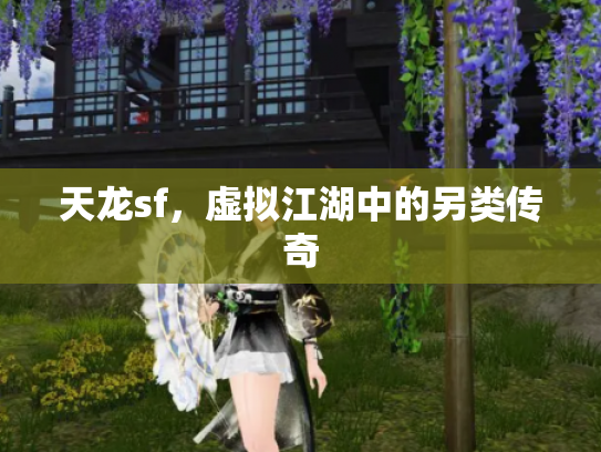 天龙sf，虚拟江湖中的另类传奇