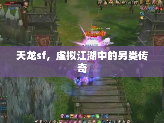 天龙sf，虚拟江湖中的另类传奇
