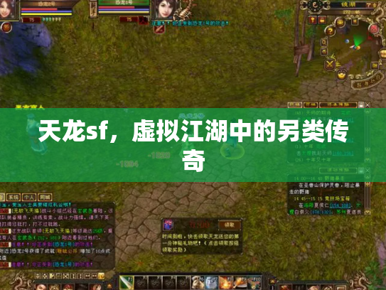 天龙sf，虚拟江湖中的另类传奇