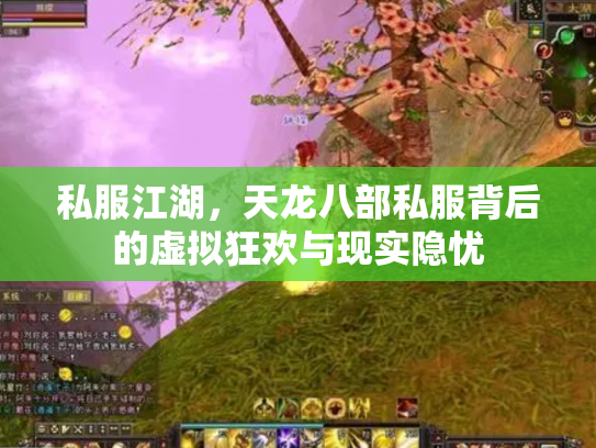 私服江湖，天龙八部私服背后的虚拟狂欢与现实隐忧