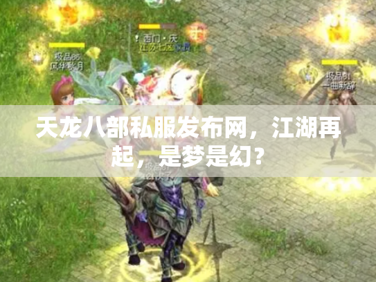 天龙八部私服发布网，江湖再起，是梦是幻？