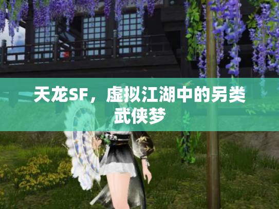 天龙SF，虚拟江湖中的另类武侠梦