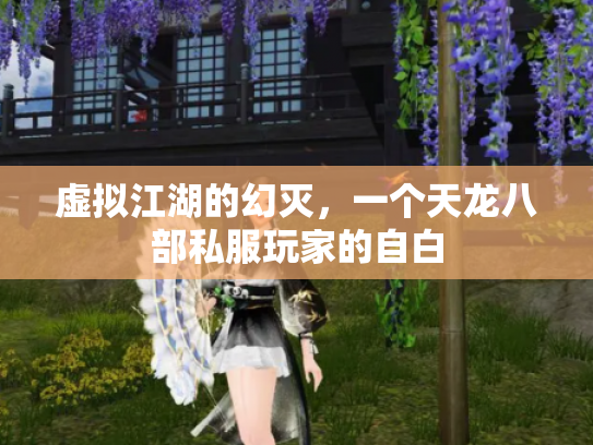 虚拟江湖的幻灭，一个天龙八部私服玩家的自白