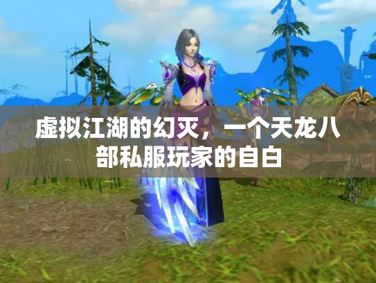虚拟江湖的幻灭，一个天龙八部私服玩家的自白