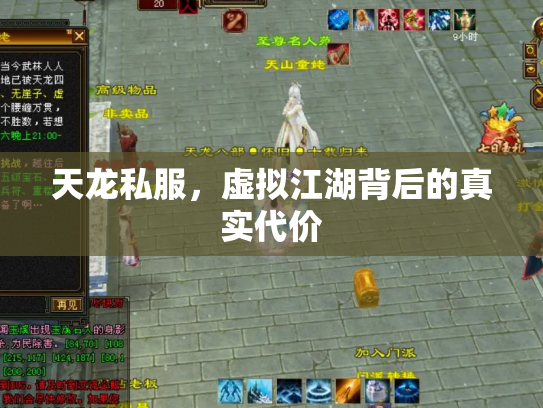 天龙私服，虚拟江湖背后的真实代价