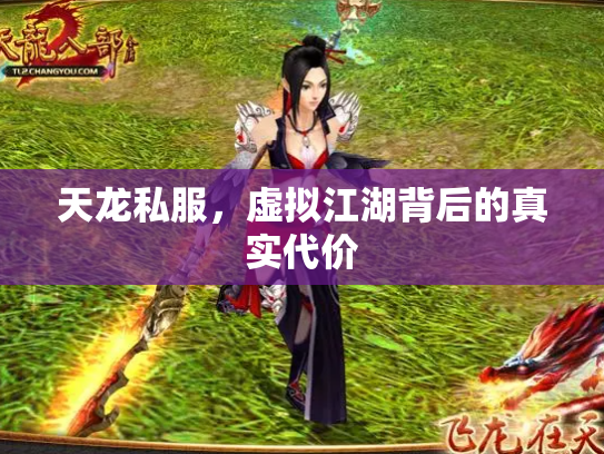 天龙私服，虚拟江湖背后的真实代价