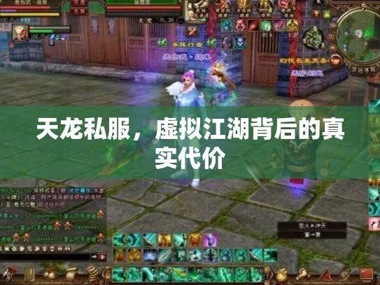 天龙私服，虚拟江湖背后的真实代价