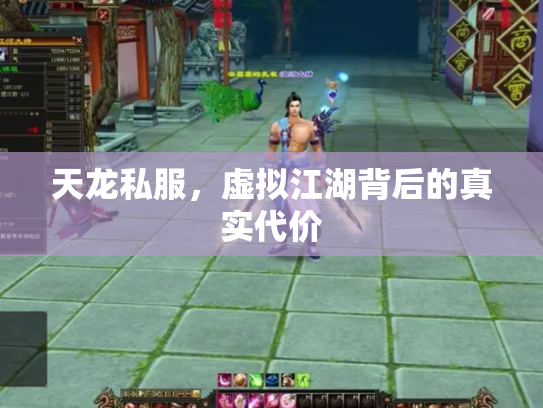 天龙私服，虚拟江湖背后的真实代价