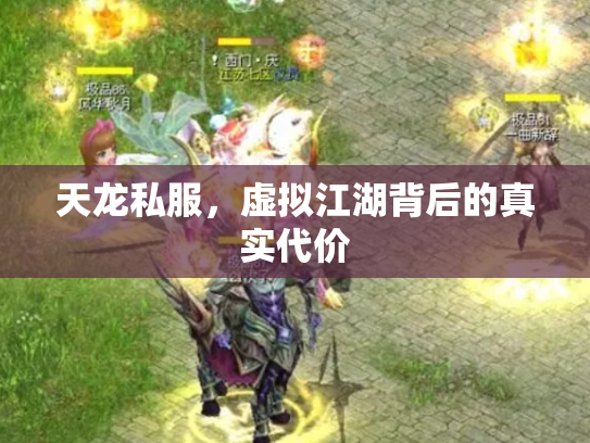 天龙私服，虚拟江湖背后的真实代价