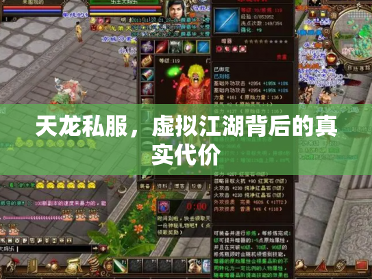 天龙私服，虚拟江湖背后的真实代价