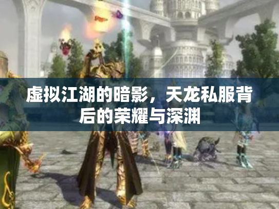虚拟江湖的暗影，天龙私服背后的荣耀与深渊
