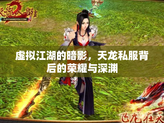 虚拟江湖的暗影，天龙私服背后的荣耀与深渊