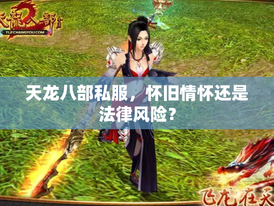 天龙八部私服，怀旧情怀还是法律风险？