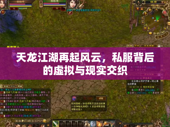天龙江湖再起风云，私服背后的虚拟与现实交织