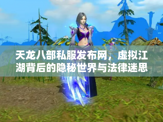 天龙八部私服发布网，虚拟江湖背后的隐秘世界与法律迷思