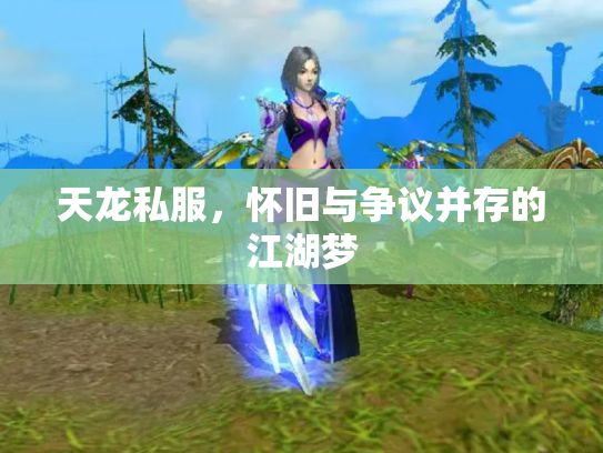 天龙私服，怀旧与争议并存的江湖梦