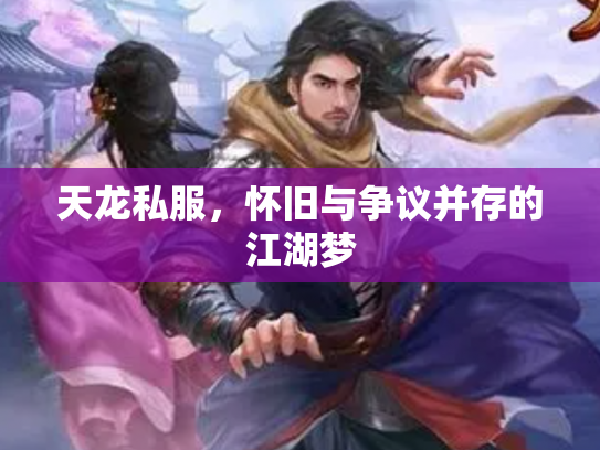 天龙私服，怀旧与争议并存的江湖梦