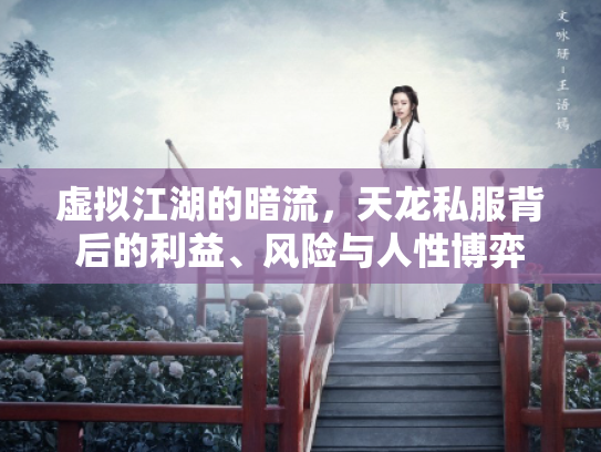 虚拟江湖的暗流，天龙私服背后的利益、风险与人性博弈