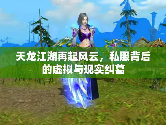 天龙江湖再起风云，私服背后的虚拟与现实纠葛