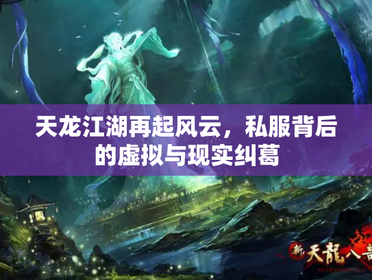 天龙江湖再起风云，私服背后的虚拟与现实纠葛
