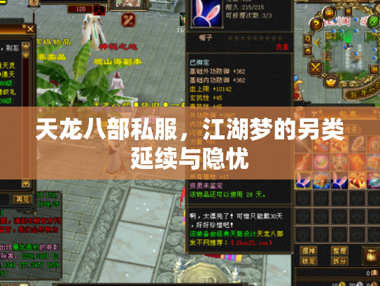 天龙八部私服，江湖梦的另类延续与隐忧