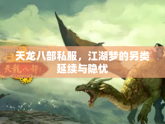 天龙八部私服，江湖梦的另类延续与隐忧