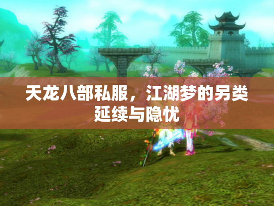 天龙八部私服，江湖梦的另类延续与隐忧