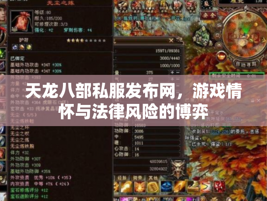 天龙八部私服发布网，游戏情怀与法律风险的博弈