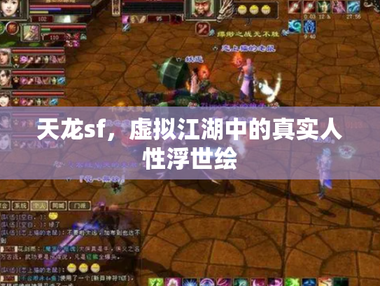 天龙sf，虚拟江湖中的真实人性浮世绘
