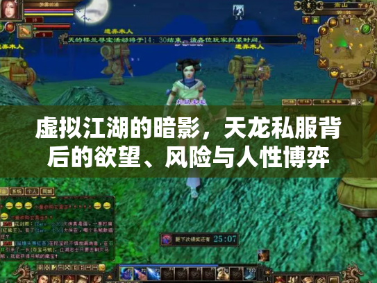 虚拟江湖的暗影，天龙私服背后的欲望、风险与人性博弈