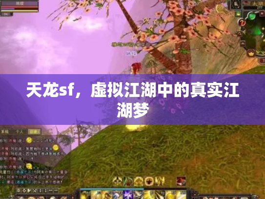 天龙sf，虚拟江湖中的真实江湖梦